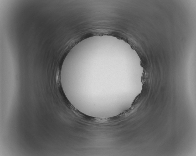 X0000113010143200908270947