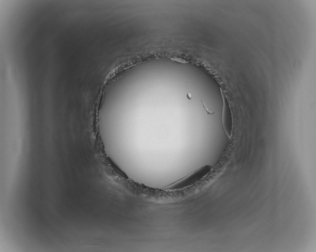 X0000113010144200908270947