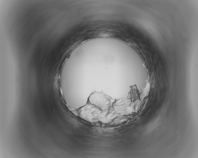 X0000113010146200908270946