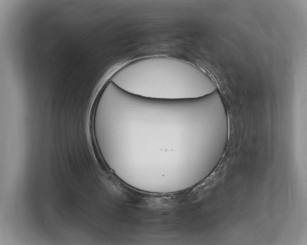 X0000113010147200908270946