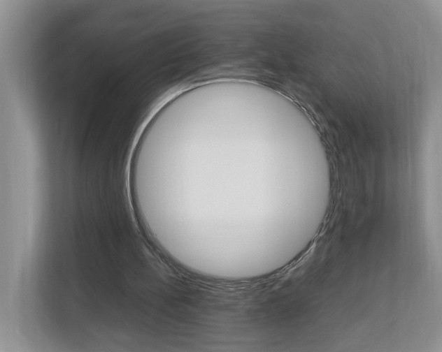 X0000113010148200908270946