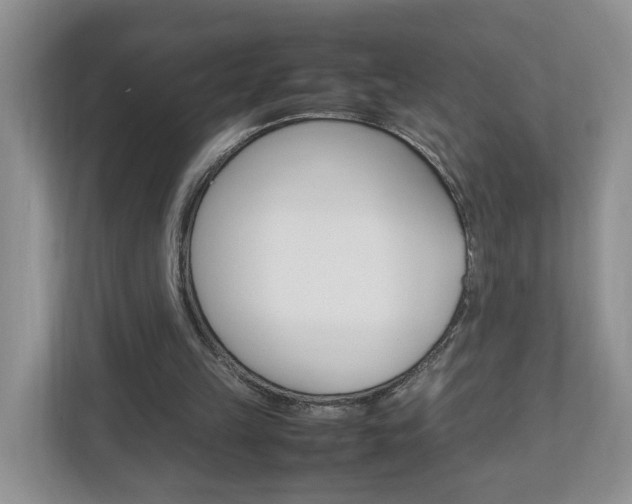 X0000113010149200908270946