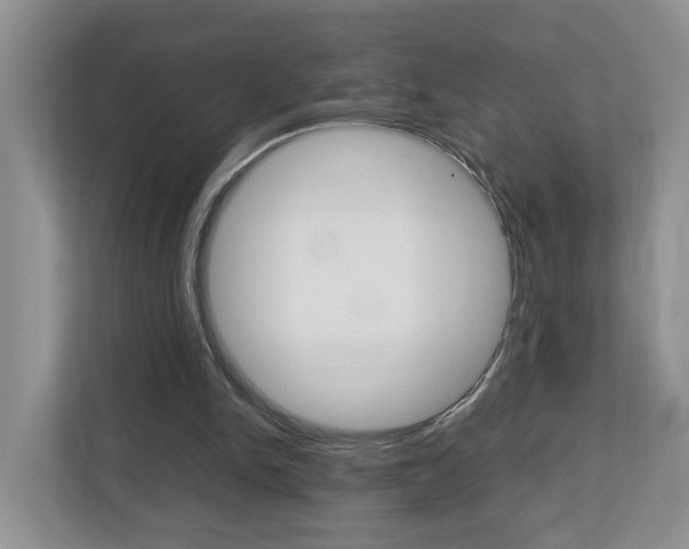 X0000113010150200908270946