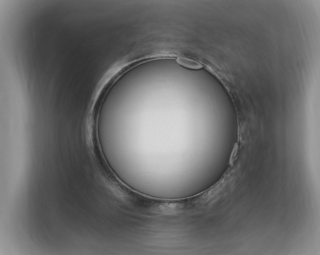 X0000113010152200908270946