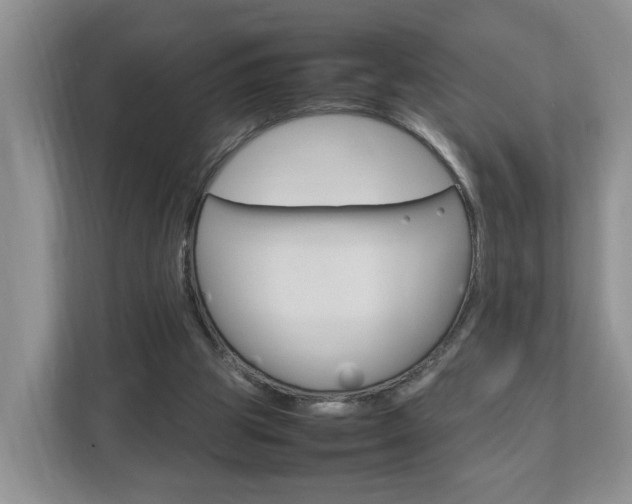 X0000113010153200908270946