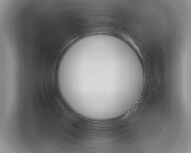 X0000113010154200908270946