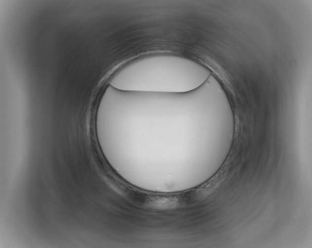 X0000113010155200908270946