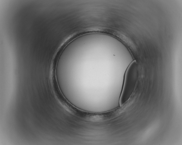 X0000113010156200908270947