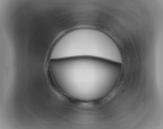 X0000113010160200908270947