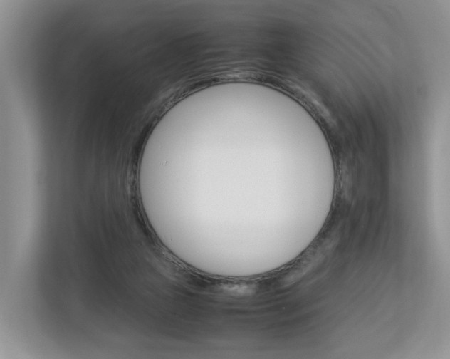 X0000113010161200908270947