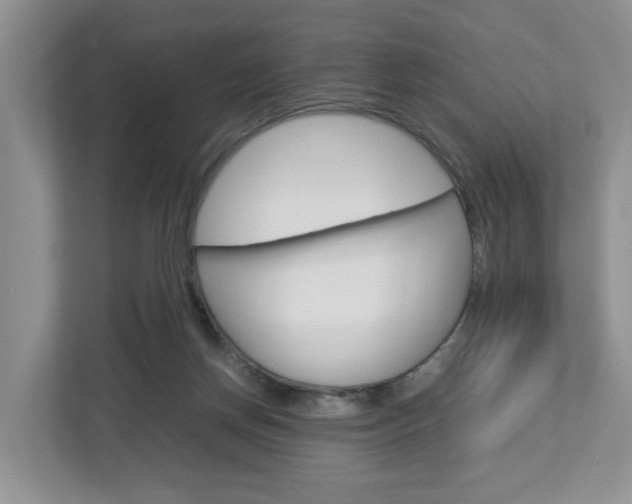 X0000113010166200908270947