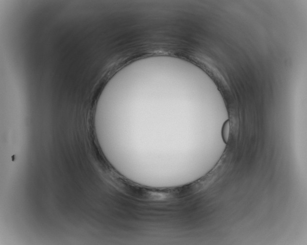 X0000113010167200908270947