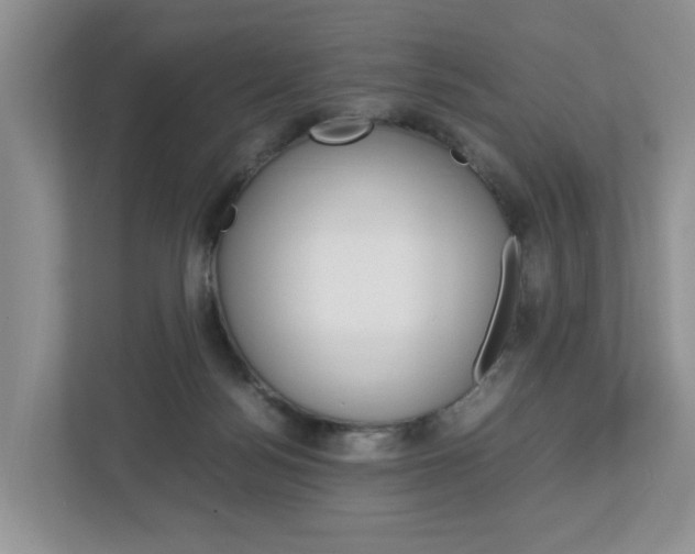 X0000113010172200908270947