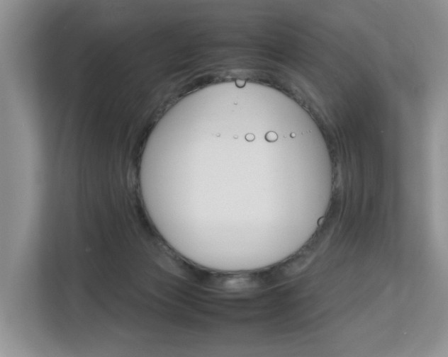 X0000113010173200908270947