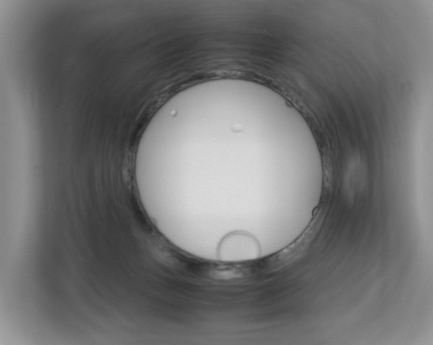 X0000113010175200908270947