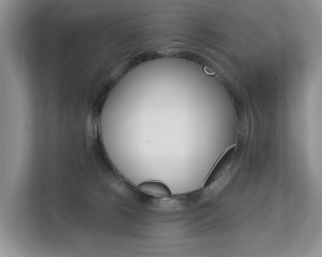 X0000113010180200908270947