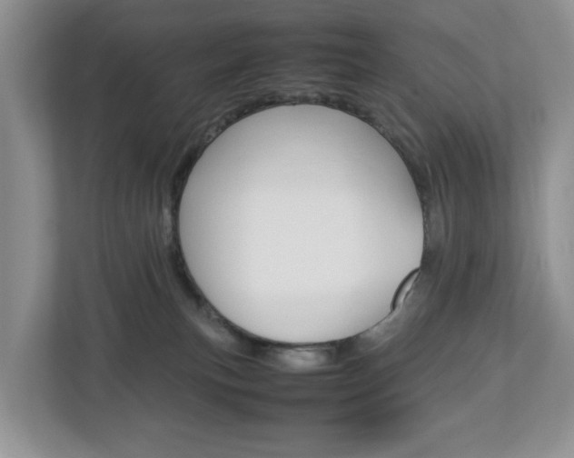 X0000113010183200908270947