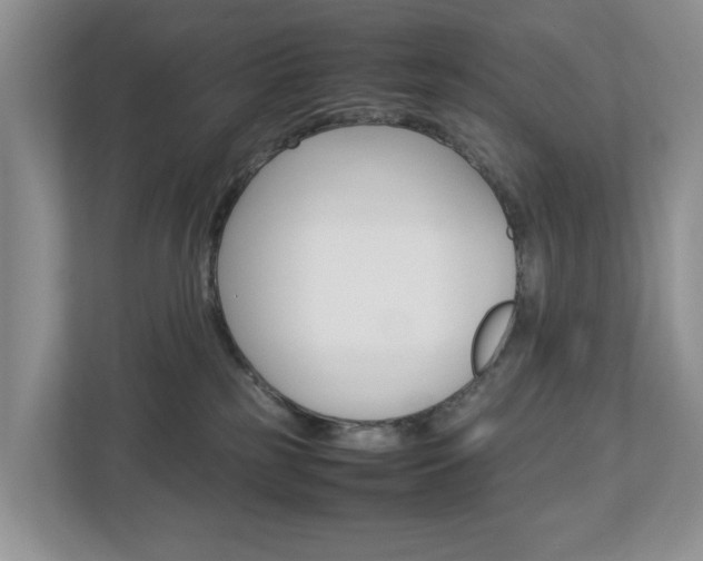 X0000113010185200908270947