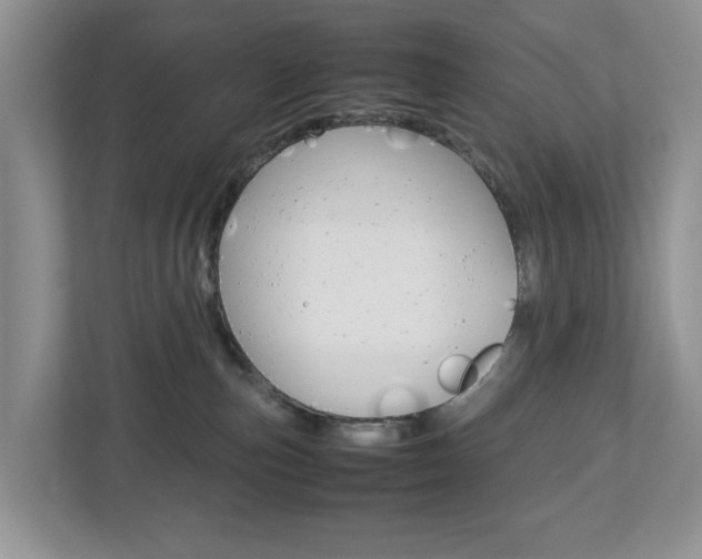 X0000113010187200908270947