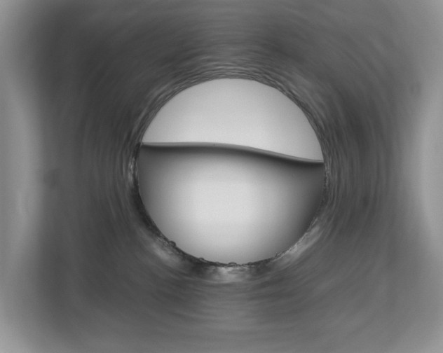 X0000113010188200908270947