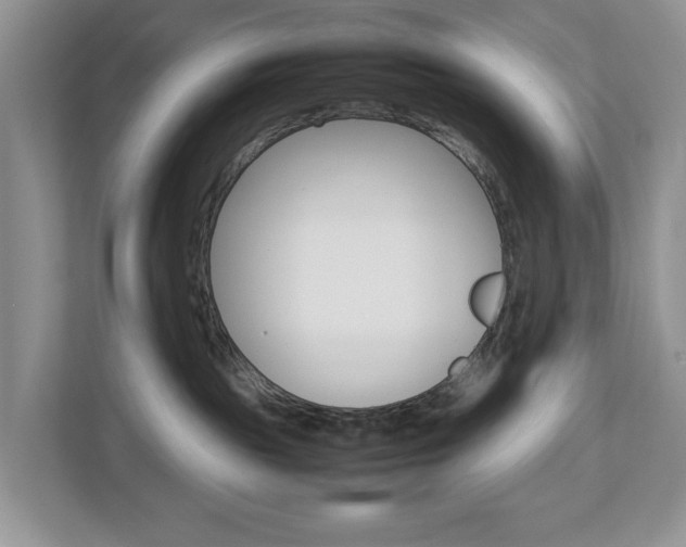 X0000113010189200908270947