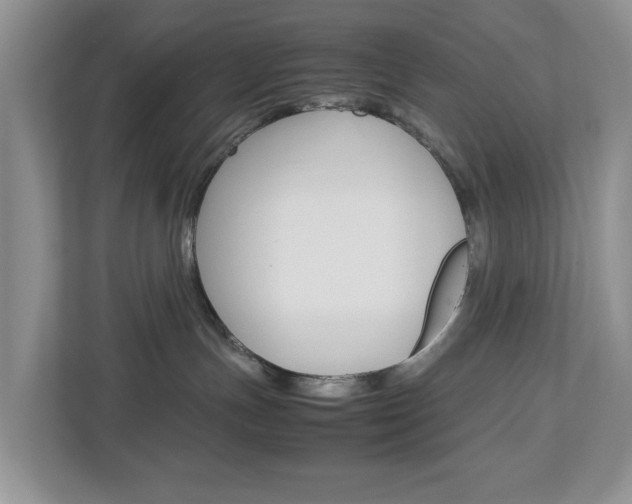 X0000113010191200908270947