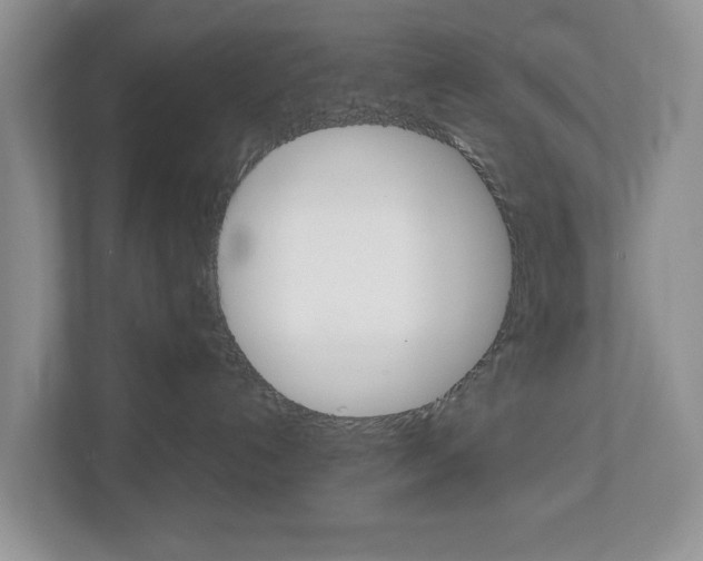 X0000113010192200908270947