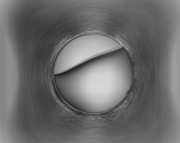 X0000113010193200908270946