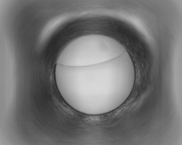 X0000113010194200908270946