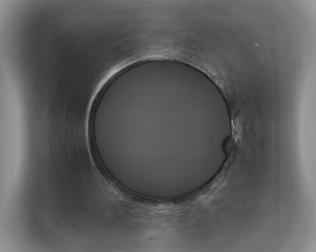 X0000113010196200908270946