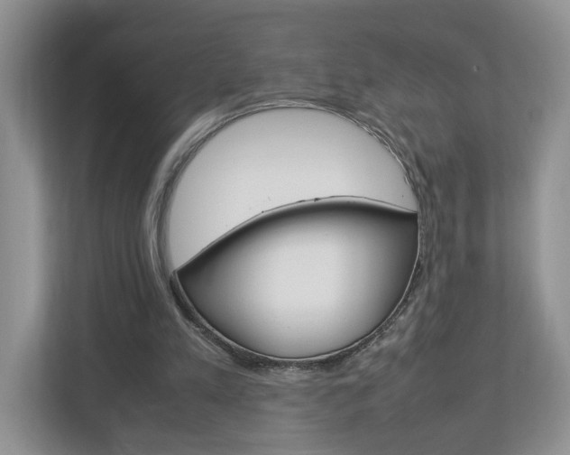 X0000113010197200908270946