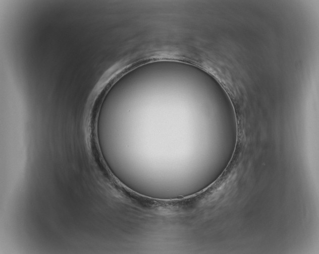 X0000113010199200908270946