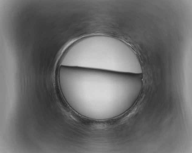 X0000113010200200908270946