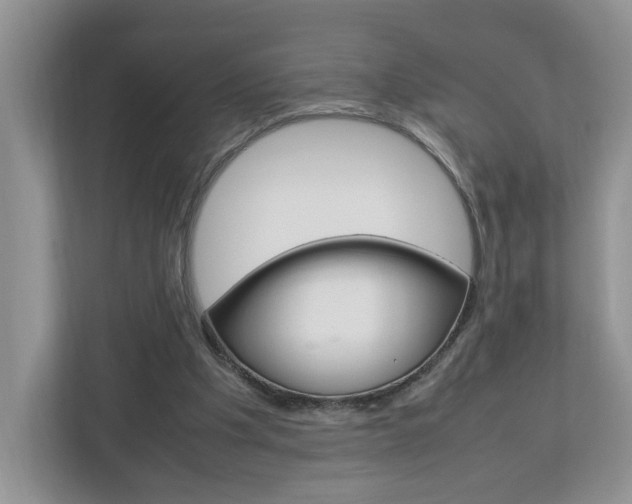 X0000113010201200908270946