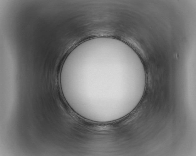 X0000113010202200908270946