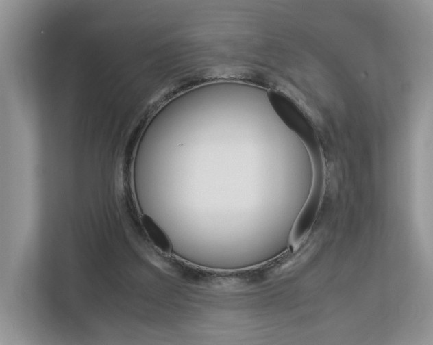 X0000113010203200908270946
