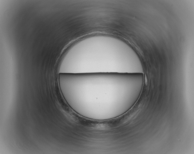 X0000113010204200908270946