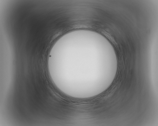X0000113010207200908270946