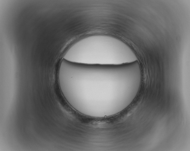 X0000113010208200908270946