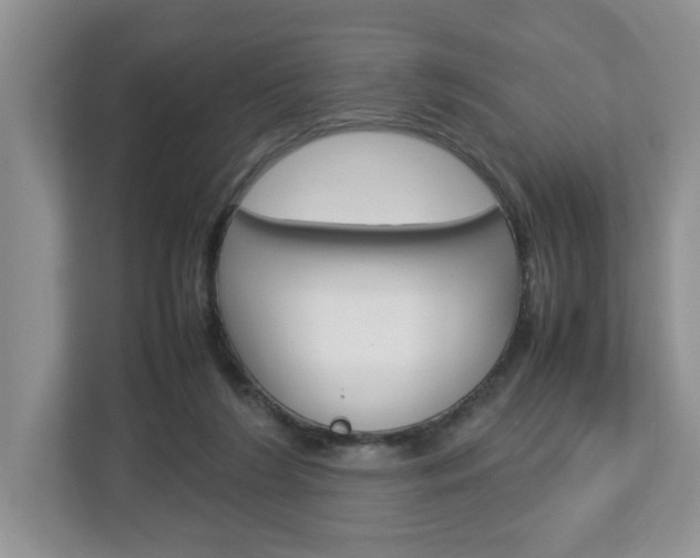 X0000113010212200908270946
