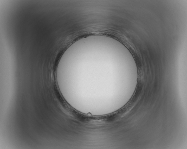 X0000113010213200908270946