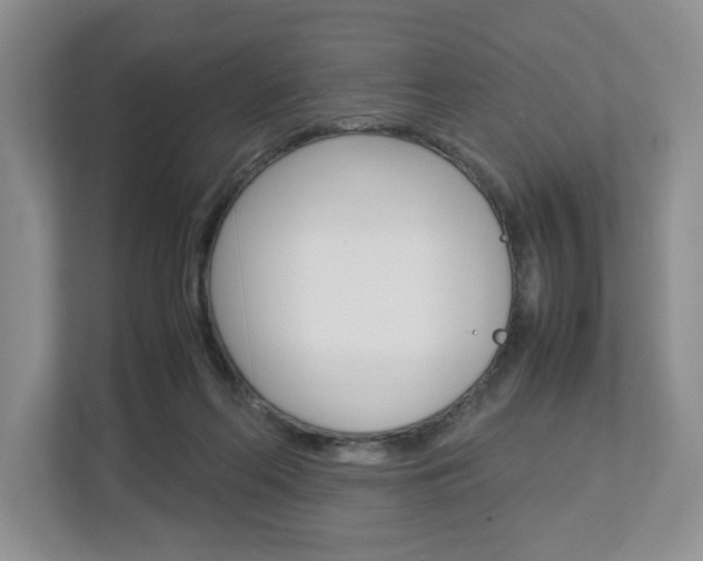 X0000113010214200908270946