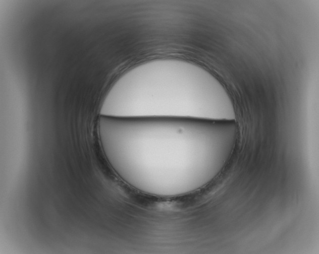 X0000113010216200908270946