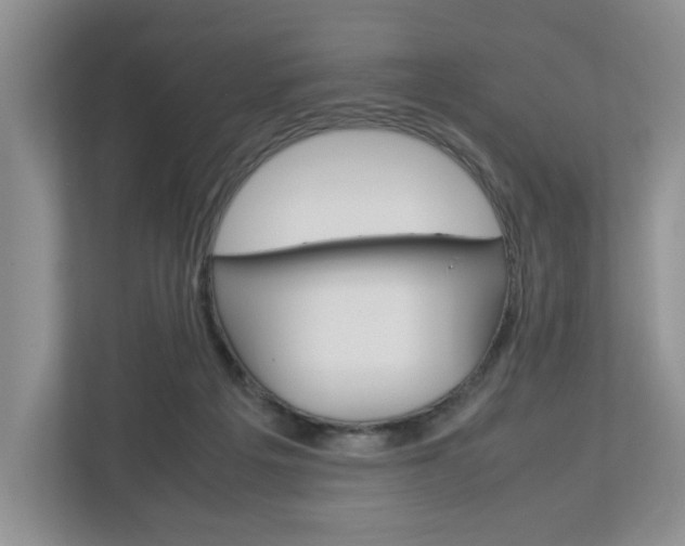 X0000113010217200908270946