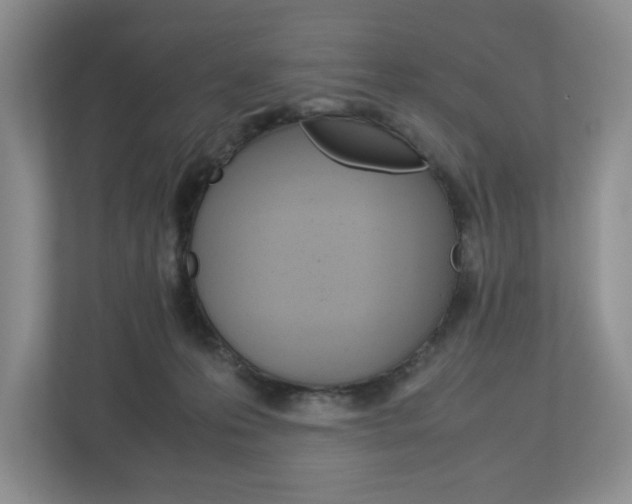 X0000113010223200908270946