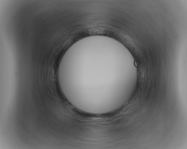 X0000113010224200908270946