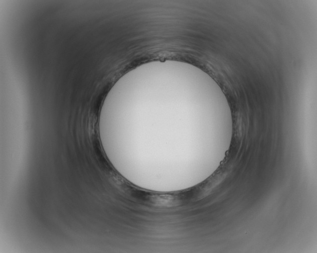 X0000113010230200908270946