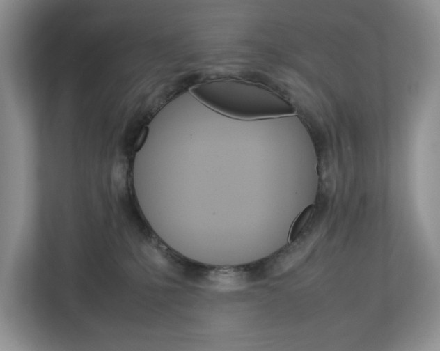X0000113010231200908270946