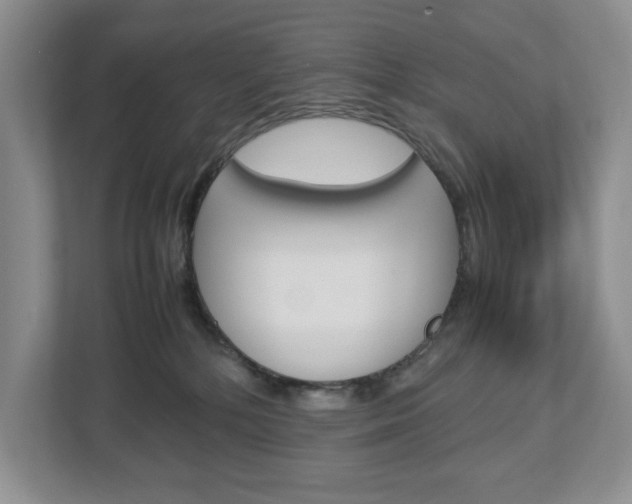 X0000113010232200908270946