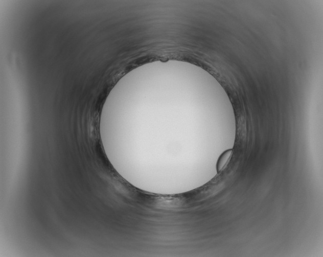 X0000113010234200908270946